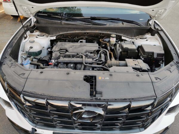 Hyundai Tucson 2022 2.0P AT (Engine)