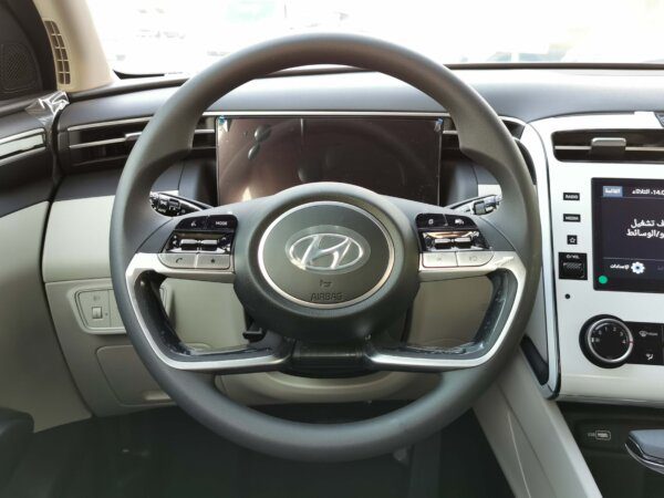 Hyundai Tucson 2022 2.0P AT (Power Steering)