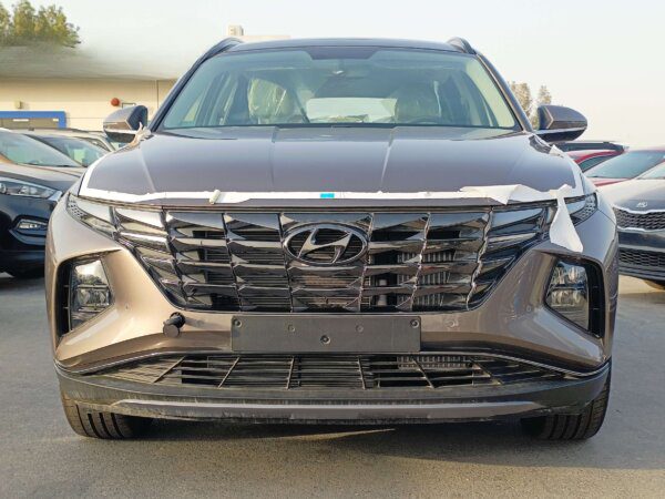 Hyundai Tucson 2022 1.6P Brown Front Full Profile