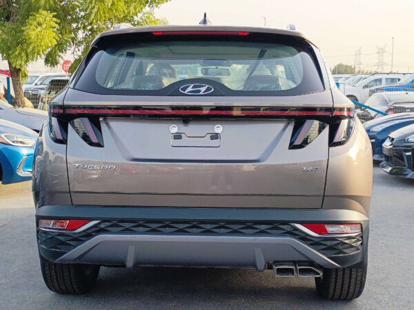 Hyundai Tucson 2022 1.6P Brown Full Back Profile