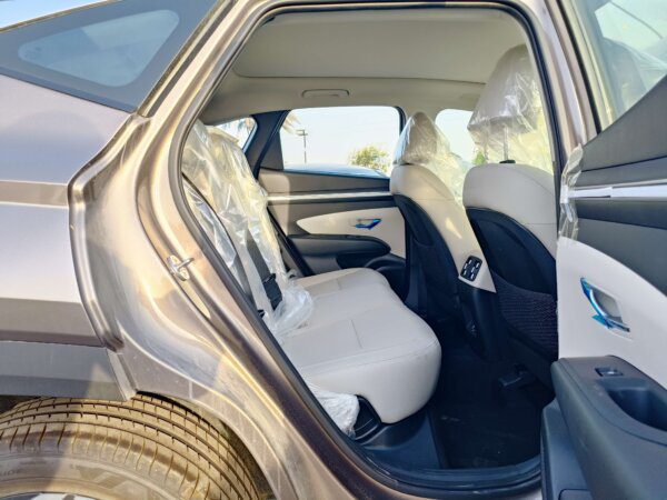 Hyundai Tucson 2022 1.6P Brown Rear Right Passenger Seat Profile