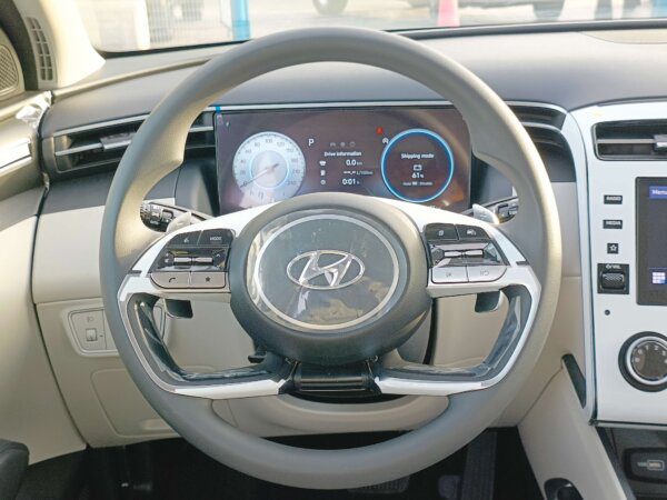 Hyundai Tucson 2022 1.6P Brown Steering Wheel Profile
