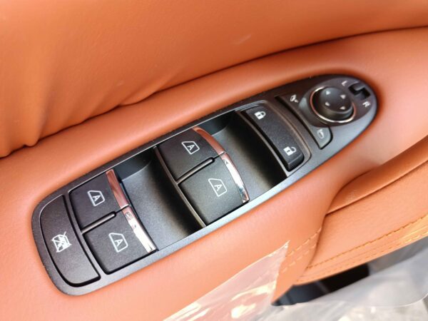 Nissan Petrol Platinum 2021 5.6P Black Side Buttons Profile