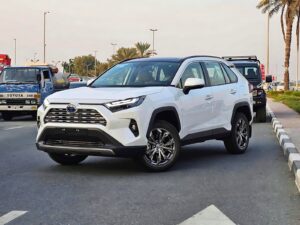 Toyota RAV4 Hybrid 2.5P 2024